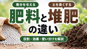 肥料と堆肥の違いを解説する記事のアイキャッチ画像