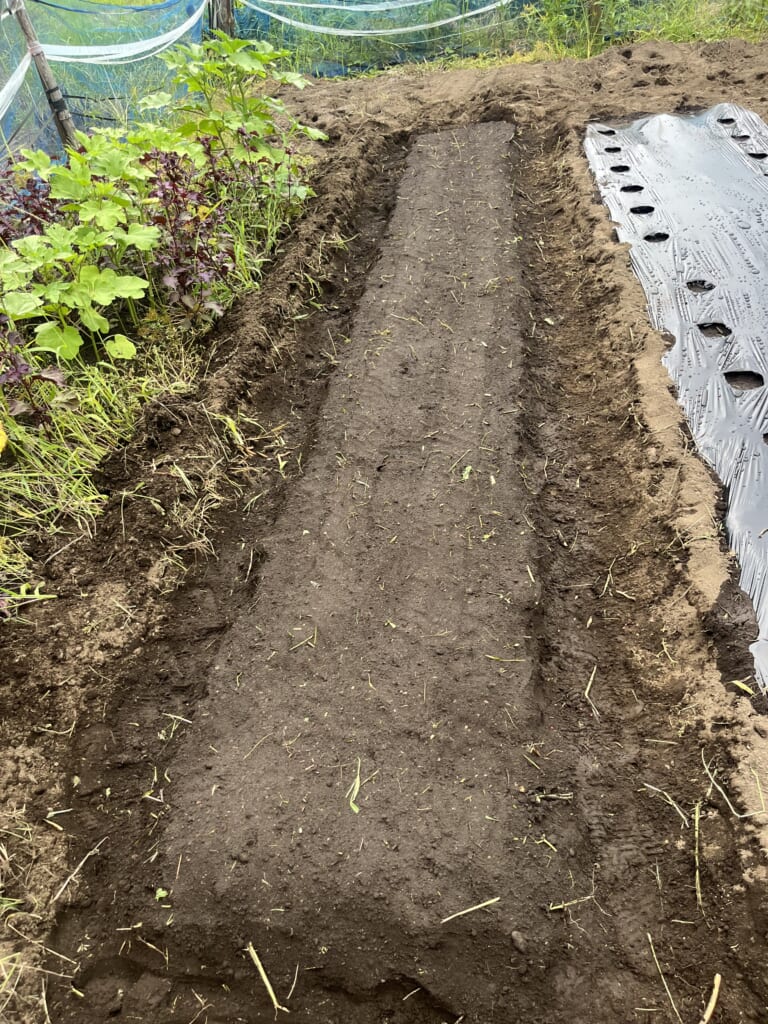 ほうれん草用畝