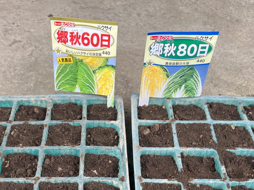 白菜の種の種類